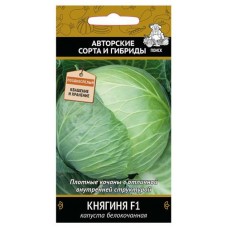 Семена Капуста белокочанная Поиск Княгиня F1, 0,2 г (kastd) в магазинах Ашан