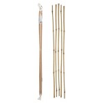 Опора бамбуковая Garden Show Ø6/8 мм, 60 см (kastd)