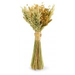 Сухой букет Домашняя кухня из колосьев льна, 48 см (kastd)