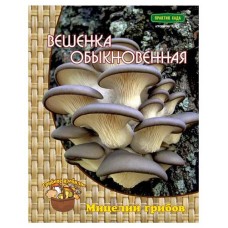 Мицелий грибов Вешенка Поиск Обыкновенная, 12 шт (kastd) в магазинах Ашан