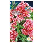 Семена Годеция СеДеК Людмила, 0,1 г (kastd)