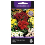 Семена Георгина Поиск Фигаро микс, 10 шт (kastd)