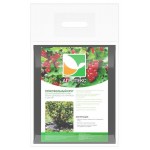 Приствольный круг Агротекс, d 0,4 м (kastd)