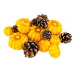 Набор тыкв и шишек DecoLine, 15 шт (kastd)