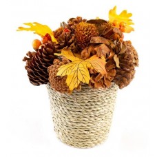 Композиция осенняя DecoLine с шишками в кашпо, 19 см (kastd) в магазинах Ашан