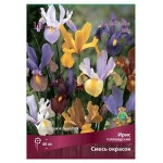 Ирис голландский Поиск смесь, 10 шт (kastd)