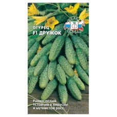 Семена СеДеК Огурец Дружок F1 (kastd) в магазинах Ашан