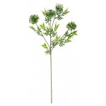 Тропический одуванчик Вещицы, 63 см (kastd)