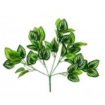 Ветка Аглаонемы Вещицы, 45 см (kastd)