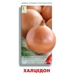 Семена Лук репчатый Поиск Халцедон, 1 г (kastd)