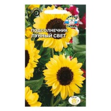 Семена СеДеК Подсолнечник Лунный свет (kastd) в магазинах Ашан