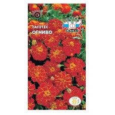 Семена СеДеК Тагетес Огниво отклоненный низкорослый красно-коричневый (kastd) в магазинах Ашан