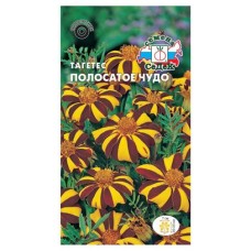 Семена СеДеК Тагетес Полосатое чудо отклоненный золотисто-коричневый (kastd) в магазинах Ашан