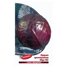 Капуста краснокочанная Agroni Марс, 0,5 г (kastd) в магазинах Ашан