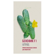 Огурец Agroni Бенефик F1, 5 шт (kastd) в магазинах Ашан
