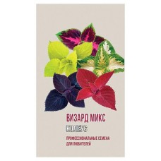 Колеус Agroni Визард микс, 5 шт в магазинах Ашан