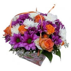 Композиция Florentika Ė18 розалия, h 35 см (kastd) в магазинах Ашан