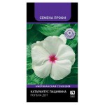 Семена Поиск Катарантус пацифика Полька Дот, 10 шт (kastd)