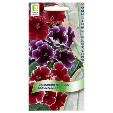 Семена Глоксиния импресс Поиск Формула микс, 5 шт (kastd) в магазинах Ашан