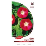 Ипомея Agroni Скарлетт Охара, 0,3 г (kastd)