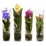 Ванда Цветы Московского в вазе, h 70 см (kastd)