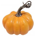 Тыква декоративная, 12x11 см (kastd)