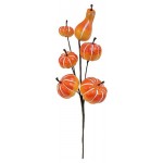 Композиция с тыквой, 30 см (kastd)