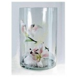 Ваза-цилиндр ЭВИС Трубка стеклянная прозрачная Ø20x30 см (kastd)