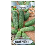 Семена Огурец Поиск Экспресс F1, 12 шт (kastd)