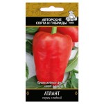Семена Перец сладкий Поиск Атлант, 0,25 г (kastd)