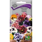 Семена Анютины глазки Поиск Фламенко, 10 шт (kastd)