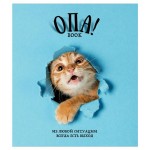 Тетрадь общая ПЗБМ ОПА! в клетку A5, 48 л (kastd)