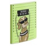 Записная книжка Феникс+ в линейку А5+, 40 л (kastd)