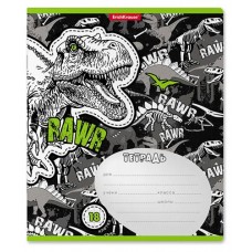 Тетрадь школьная ErichKrause в клетку с полями А5+ 18 л (kastd) в магазинах Ашан