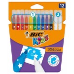 Фломастеры BIC Kids Magic, 12 шт (kastd)