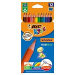 Цветные карандаши BIC Kids Evolution, 12 цветов (kastd)