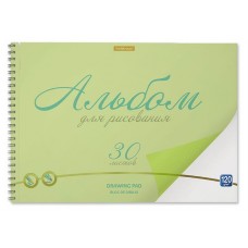 Альбом для рисования ErichKrause Neon с пластиковой обложкой на спирали зеленый А4, 30 листов (kastd) в магазинах Ашан
