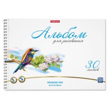 Альбом для рисования ErichKrause А4, 30 л (kastd) в магазинах Ашан