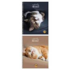 Тетрадь Проф-Пресс Мурчащие котики клетка, 48 листов (kastd) в магазинах Ашан