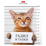 Тетрадь Хатбер А5 клетка, 48 листов (kastd)