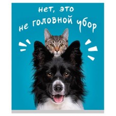 Тетрадь Listoff А5 клетка, 96 л (kastd) в магазинах Ашан