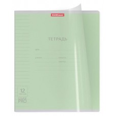 Тетрадь школьная ErichKrause в линейку с пластиковой обложкой на скобе А5+, 12 л (kastd) в магазинах Ашан