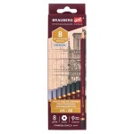 Карандаши чернографитные BRAUBERG ART Premiere 6H-8B, 8 шт (kastd)