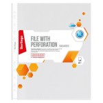 Папка-вкладыш Berlingo с перфорацией А4, 50 шт (kastd)