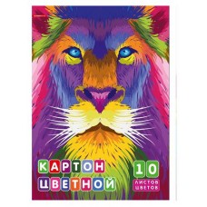 Картон цветной Academy Style А3, 10 цветов 10 листов (kastd) в магазинах Ашан