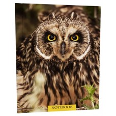 Книжка записная Academy Style Сова в клетку А6, 96 л в магазинах Ашан