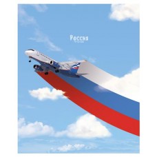 Тетрадь в клетку АппликА Россия А5, 48 л в магазинах Ашан