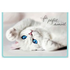 Папка для тетрадей Пчелка А4 на молнии пластиковая с дизайном, 325х230х55 мм (kastd) в магазинах Ашан