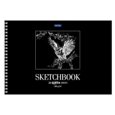 Альбом для рисования Hatber SketchBook А4, 20 л (kastd) в магазинах Ашан