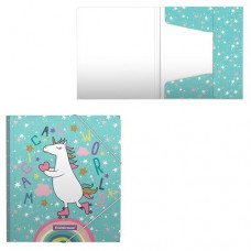 Папка для тетрадей на резинках ErichKrause Rainbow Skate, A5+ (kastd) в магазинах Ашан